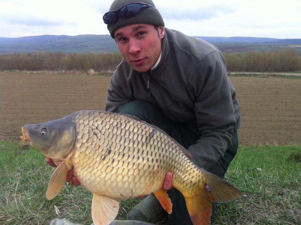 Pescuit 2013 - Crap 7,100 balta 2-3 Doripesco 
Prins si eliberat 